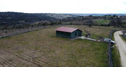 Terreno com arvores de fruto e uma construção, em Miranda do Douro.