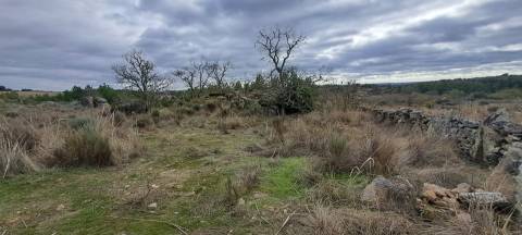 Terreno Rústico  Venda em Sendim e Atenor,Miranda do Douro