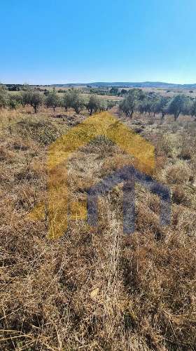 Quintinha  Venda em Santo Aleixo,Monforte