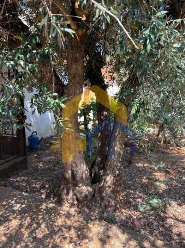 Moradia T4, no centro de Estremoz com quintal