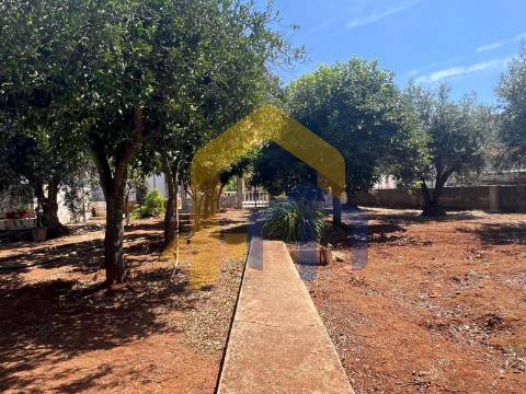 Moradia T4, no centro de Estremoz com quintal