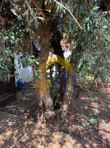 Moradia T4, no centro de Estremoz com quintal