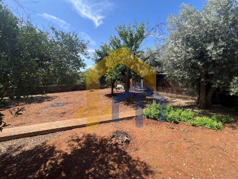 Moradia T4, no centro de Estremoz com quintal
