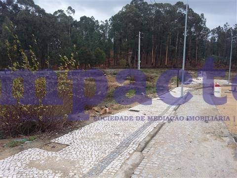 Lotes terrenos localizados em Fajões.