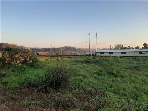 Terreno na Vila de Cucujães, Oliveira de Azeméis
