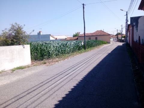Terreno com viabilidade construtiva em Estarreja.