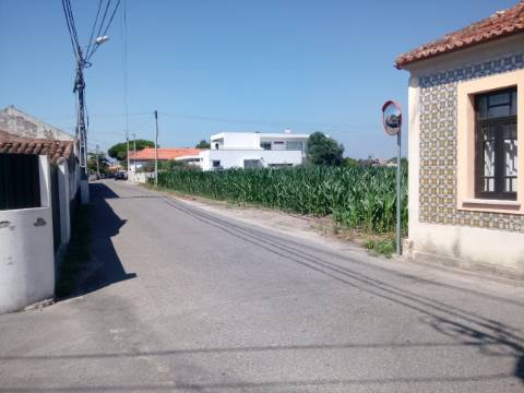 Terreno com viabilidade construtiva em Estarreja.