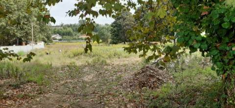 Terreno para construção em São Roque, Oliveira de Azeméis.