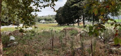Terreno para construção em São Roque, Oliveira de Azeméis.