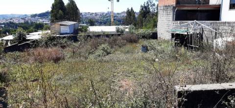 Terreno para construção em Macieira de Sarnes,Oliveira de Azeméis.