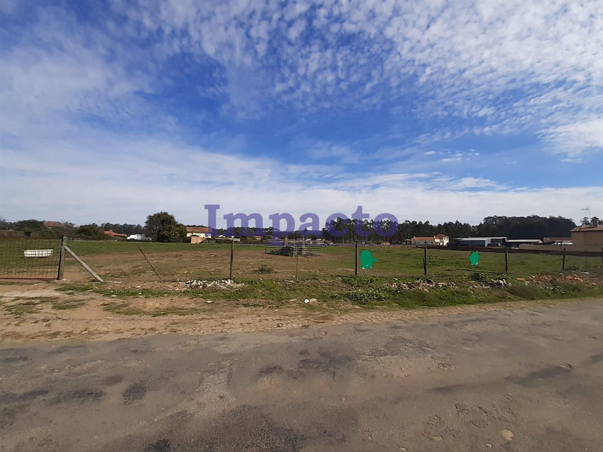 Terreno em Loureiro, Oliveira de Azeméis