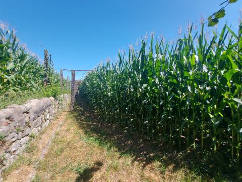 Terreno para construção em Mansores, Arouca.