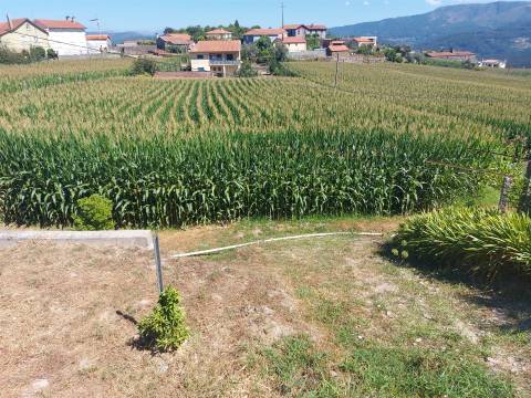 Terreno para construção em Mansores, Arouca.
