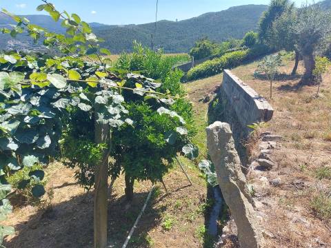 Terreno para construção em Mansores, Arouca.