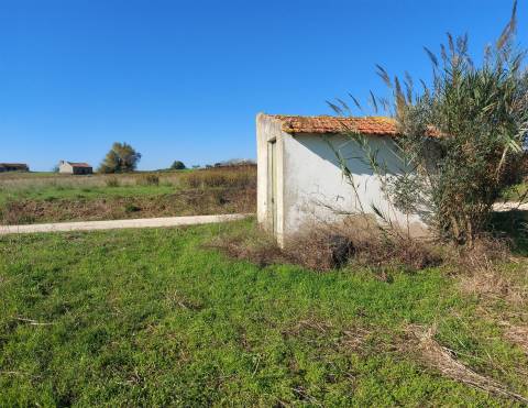 Venda judicial de terreno rústico em Cabanas de Torres, Alenquer