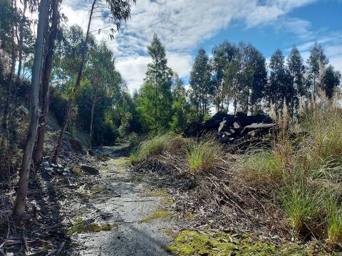 Venda Judicial de Terreno Urbano na Zona Industrial das Mimosas