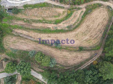 Terreno misto em Escariz, Arouca