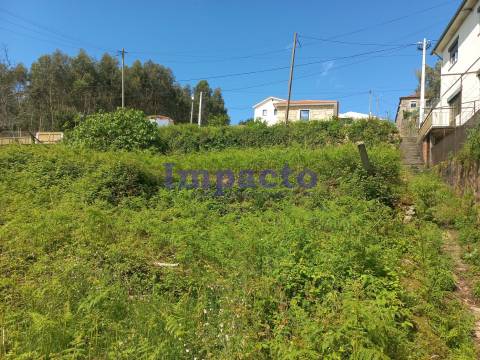 Terreno  Venda em Escariz,Arouca
