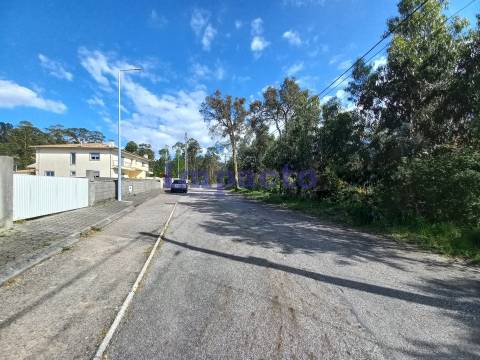 Terreno  Venda em Escariz,Arouca