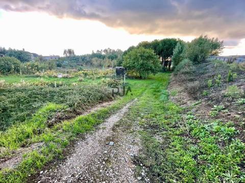 Terreno com viabilidade em Óvoa, Santa Comba Dão