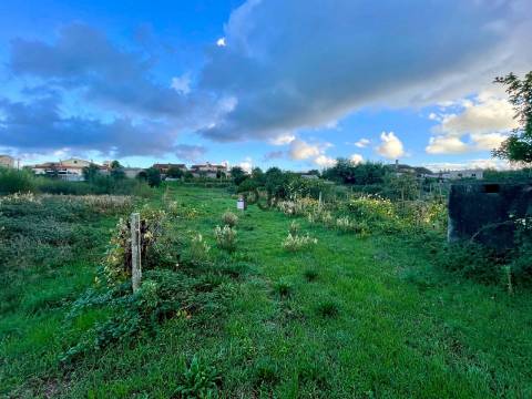 Terreno com viabilidade em Óvoa, Santa Comba Dão