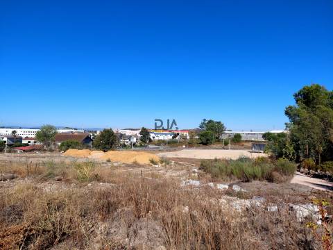 Lote Industrial em Mangualde