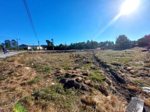 Lote Industrial em Mangualde