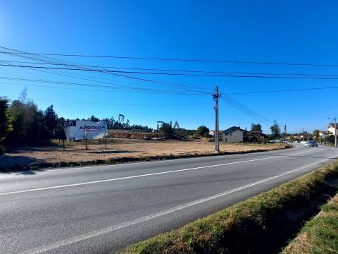Lote Industrial em Mangualde
