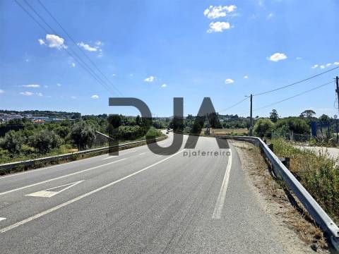 Terreno, Mangualde