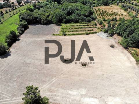 Terreno, Mangualde