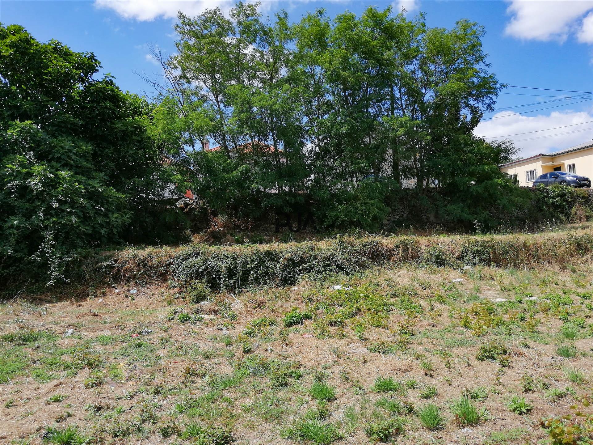 Lote para construção em Cubos, Mangualde