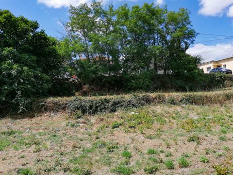 Lote para construção em Cubos, Mangualde