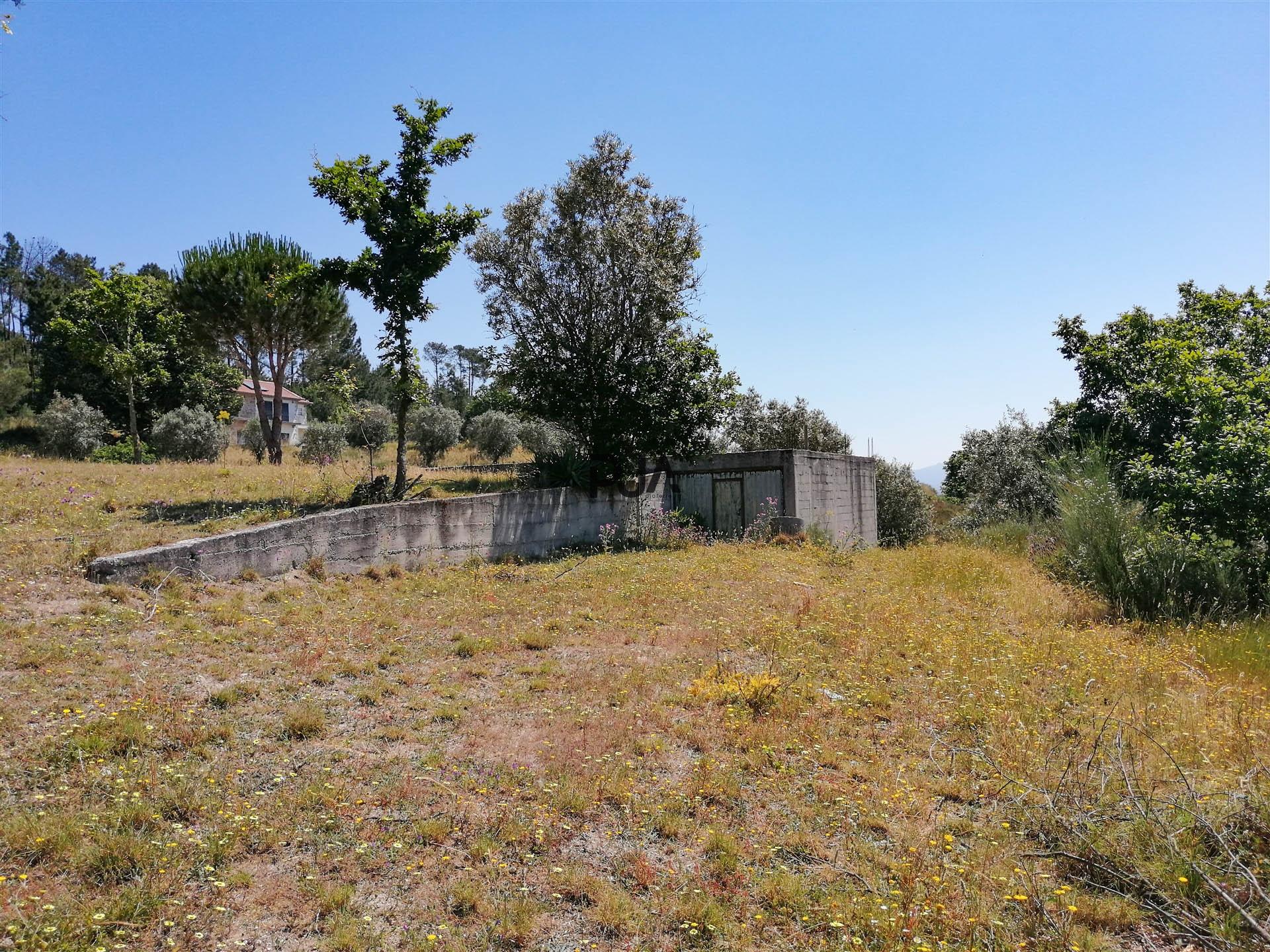 Terreno agrícola em Contenças de Baixo