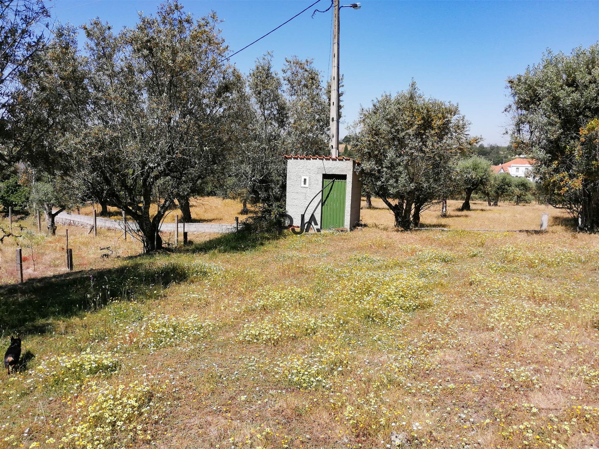 Terreno agrícola em Contenças de Baixo