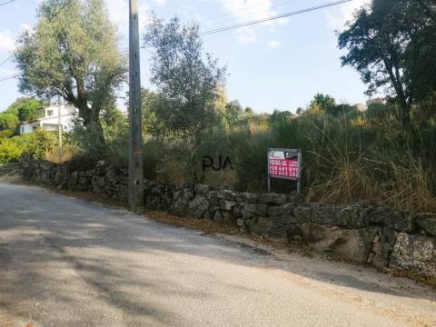Terreno com viabilidade construtiva em Quintela de Azurara, Mangualde