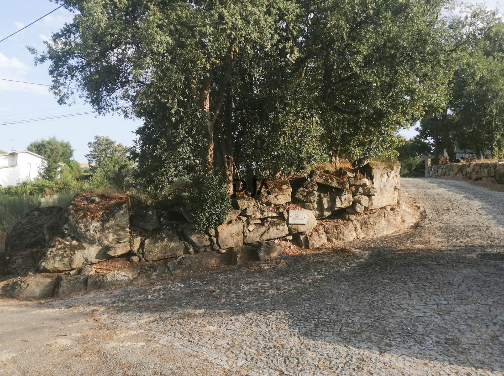 Terreno com viabilidade construtiva em Quintela de Azurara, Mangualde