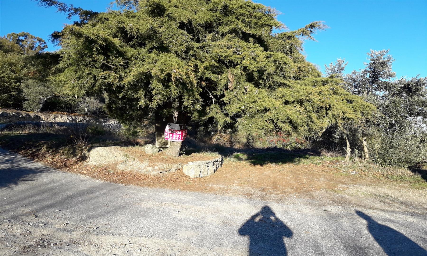 Terreno com viabilidade construtiva em Fornos de Algodres