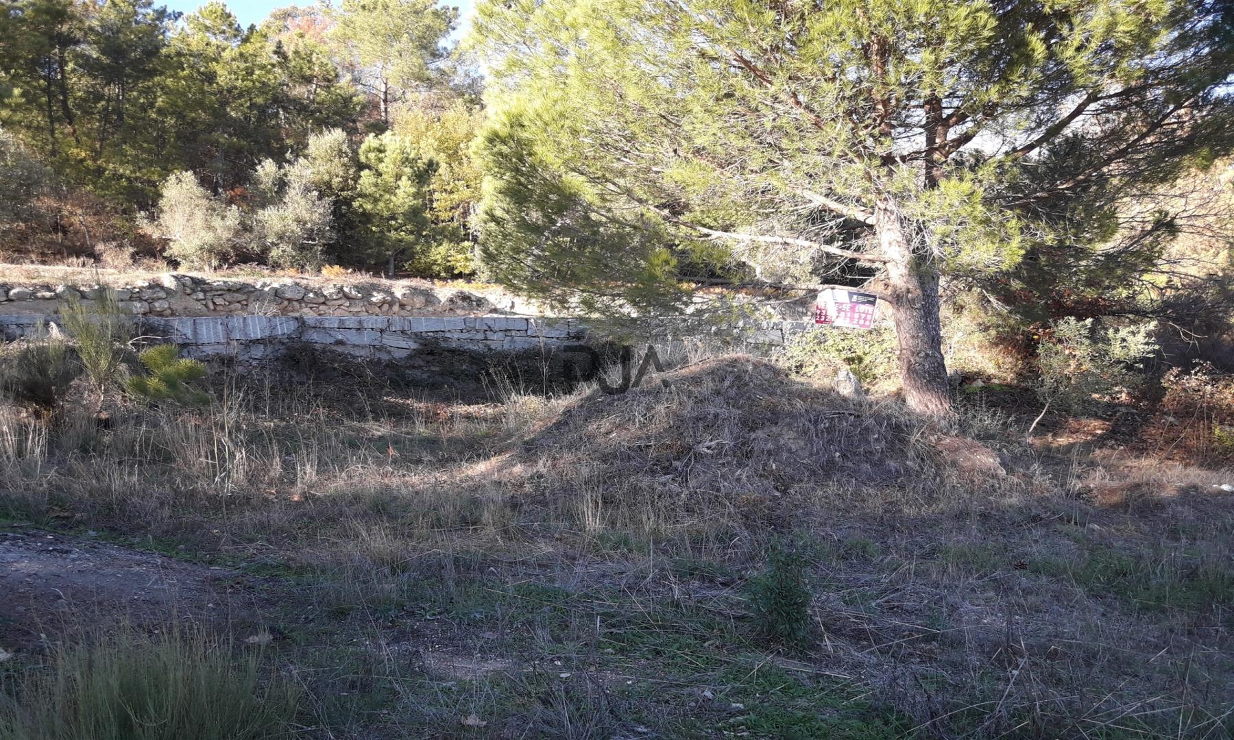 Terreno com viabilidade construtiva em Fornos de Algodres