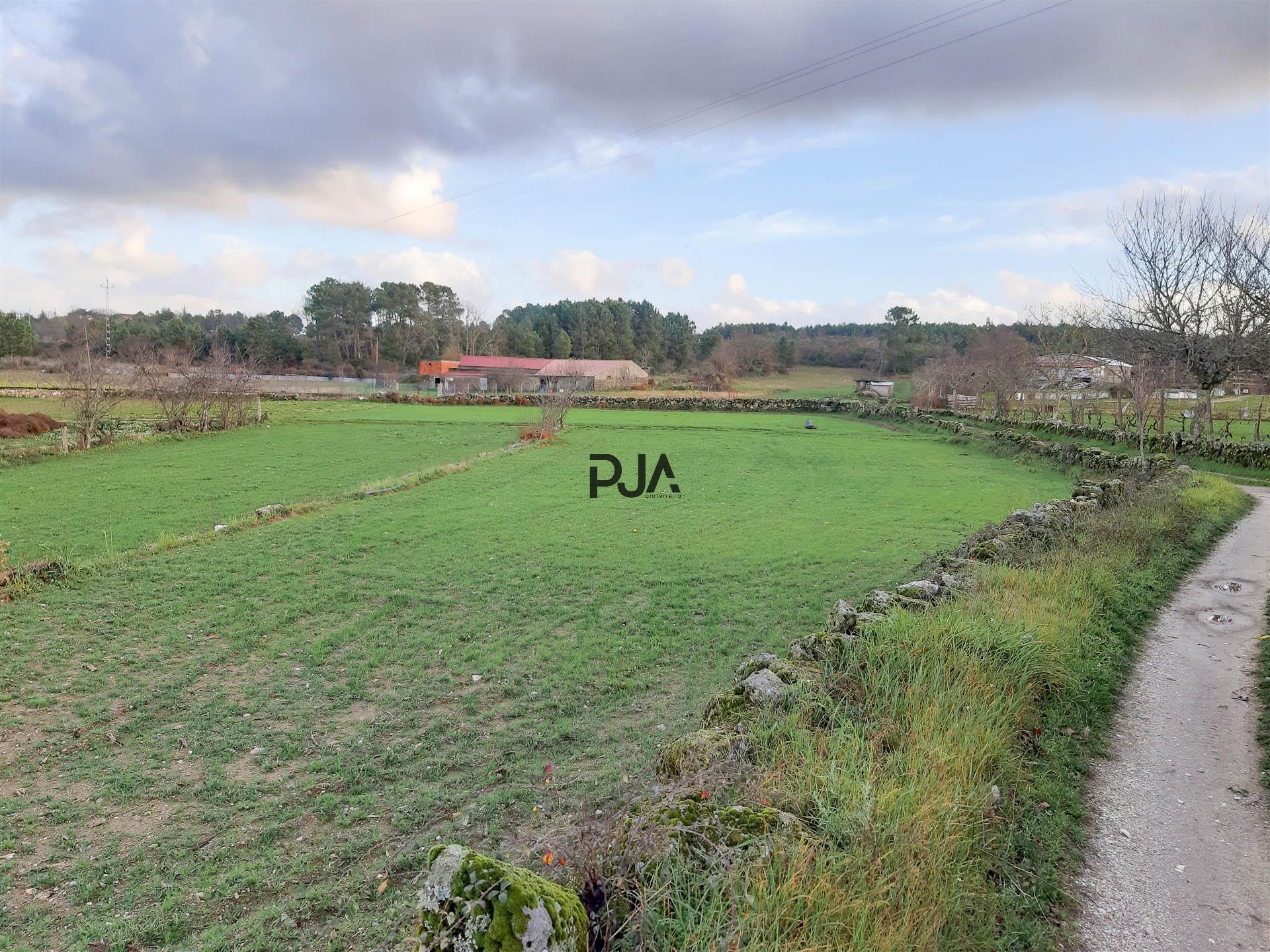 Terreno agrícola em Rancozinho