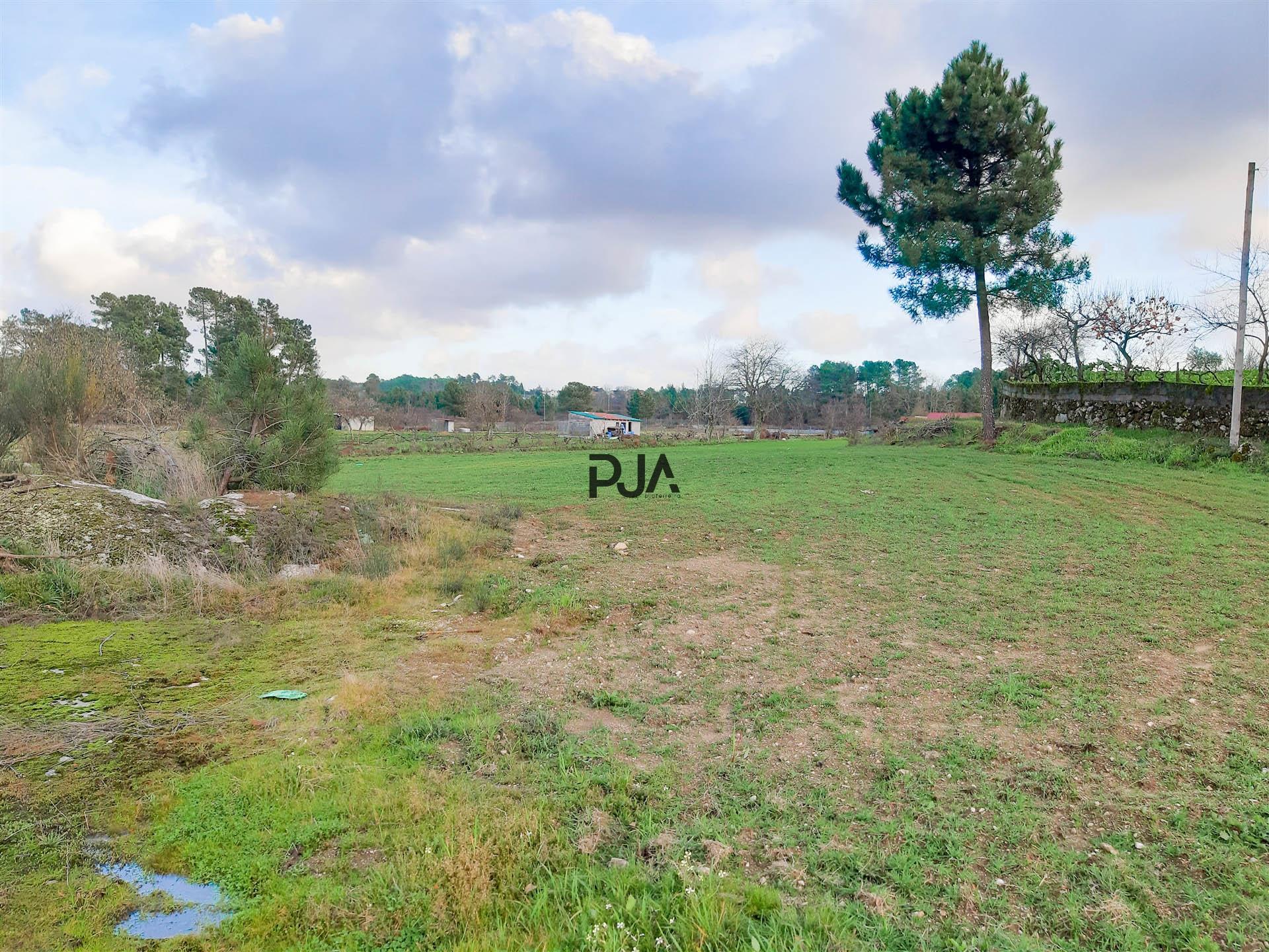 Terreno agrícola em Rancozinho