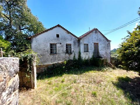 Quinta com Moradia em Rio de Moinhos