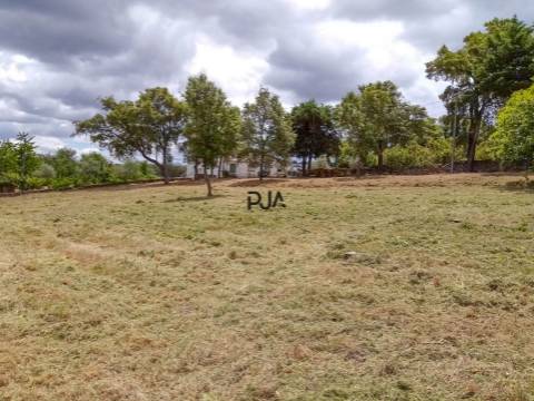 Terreno industrial em Mangualde