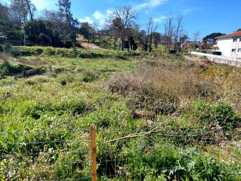 Lote para Construção de prédio - 6 fogos em Mangualde