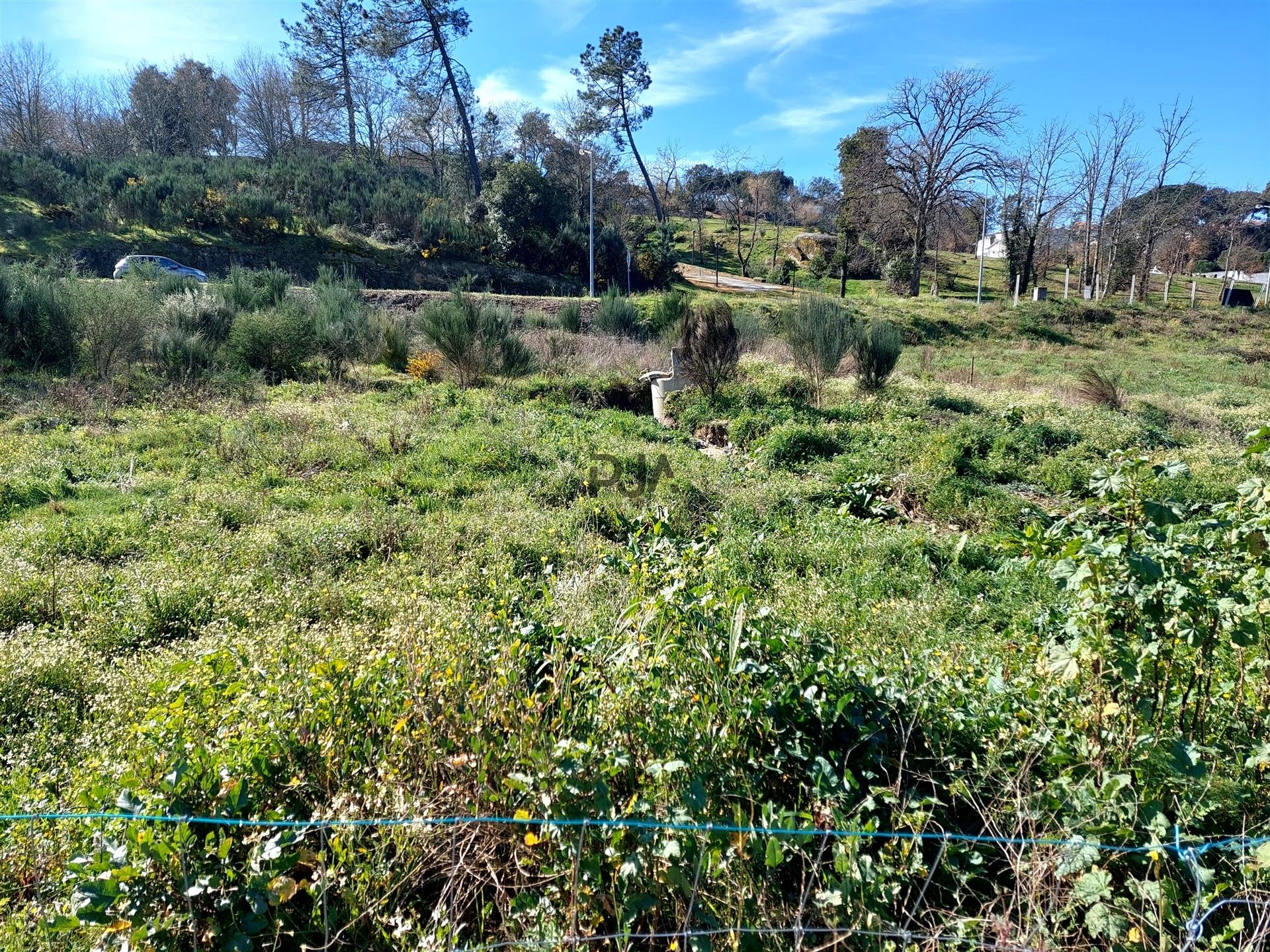 Lote para Construção de prédio - 6 fogos, Mangualde