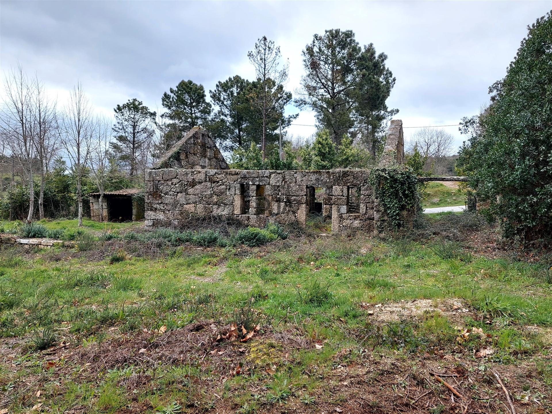 Quinta com 2ha em Fornos de Algodres