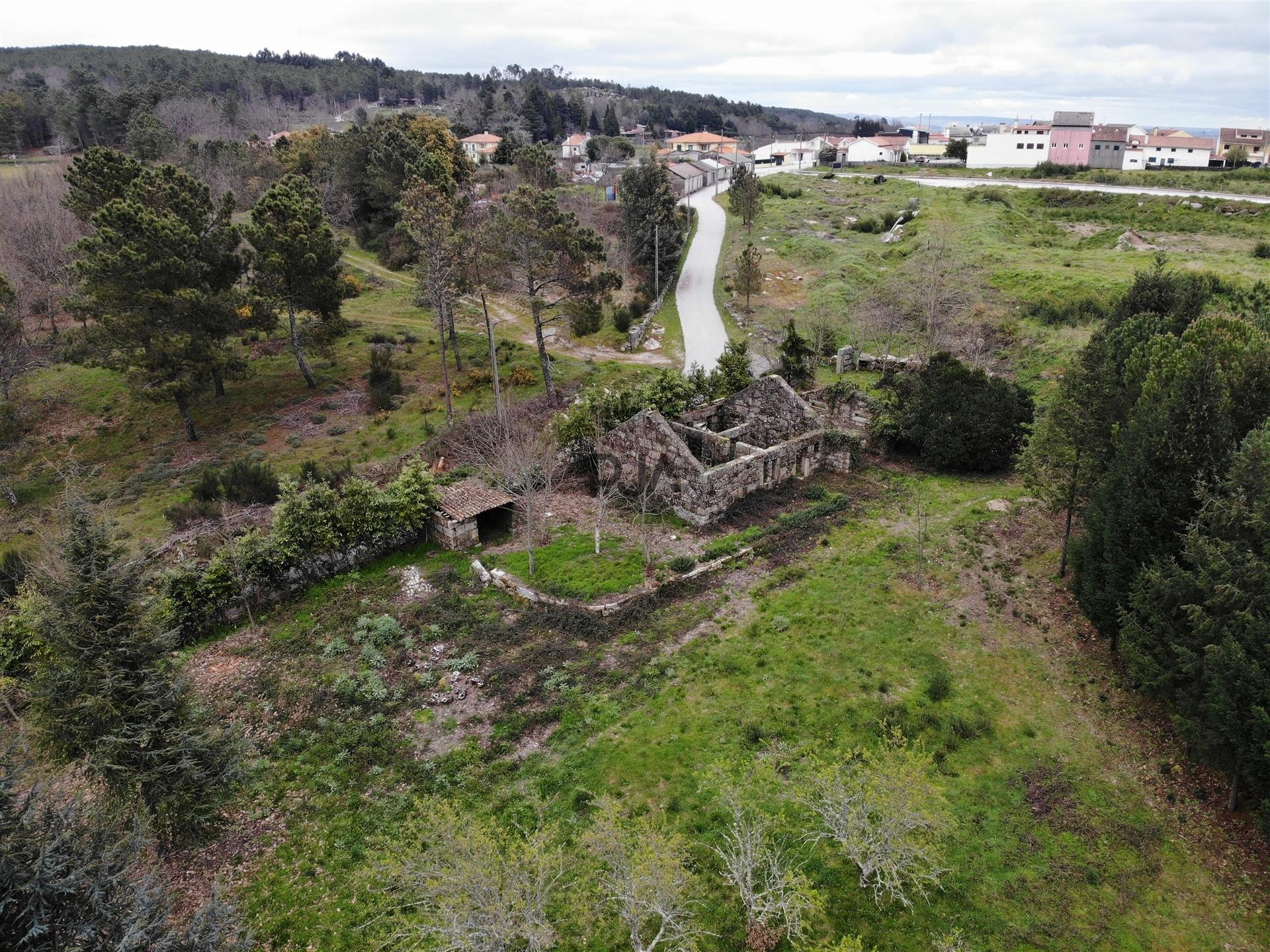 Quinta com 2ha em Fornos de Algodres