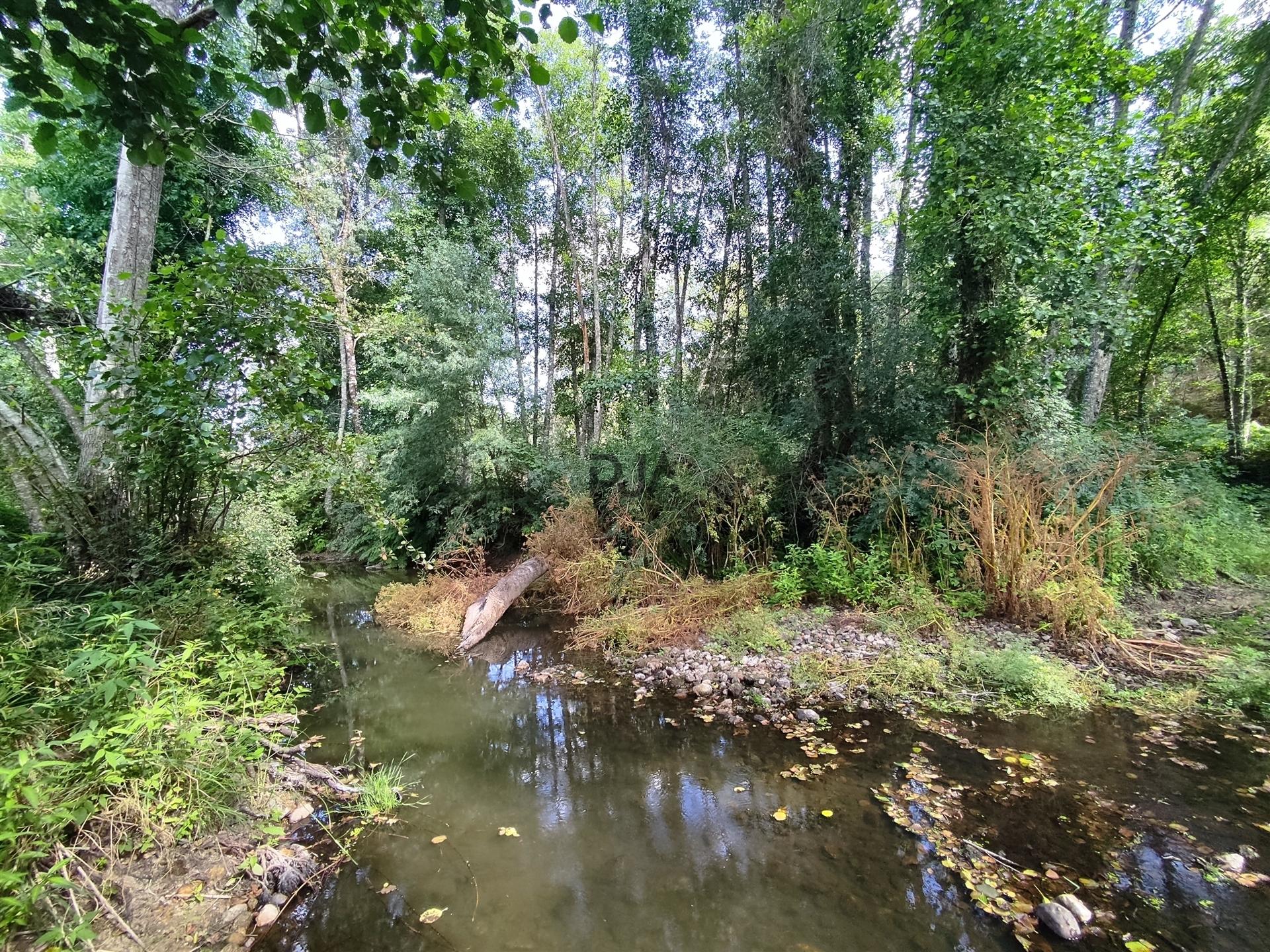 Quinta com 8ha em Penalva do Castelo