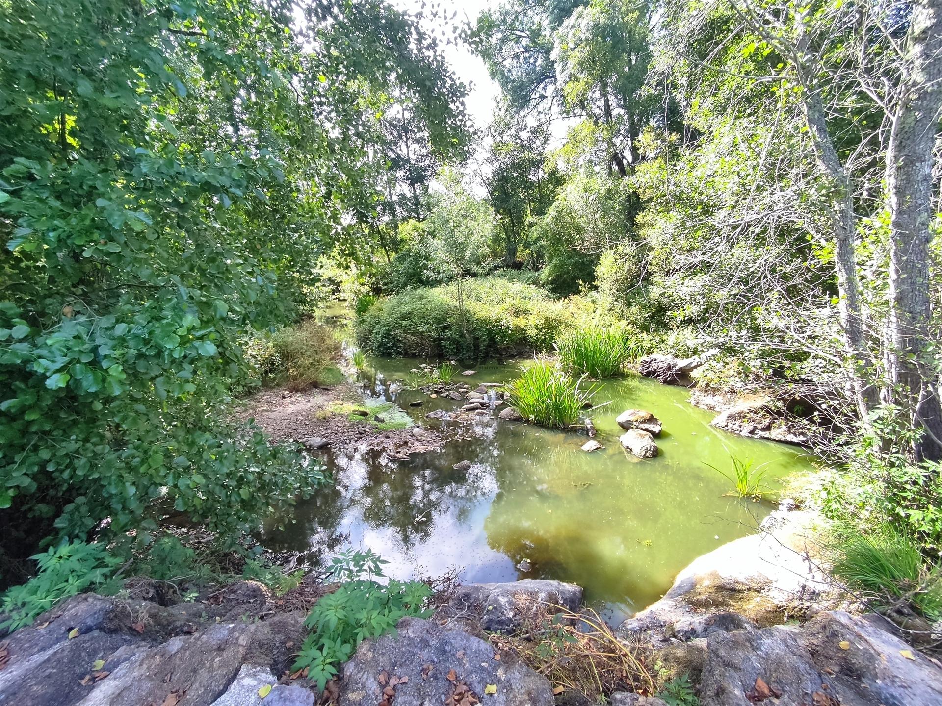 Quinta com 8ha em Penalva do Castelo