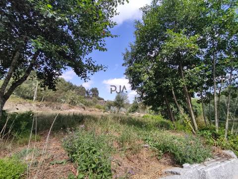 Quinta com 8ha em Penalva do Castelo