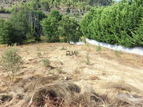 Terreno com 2000m2